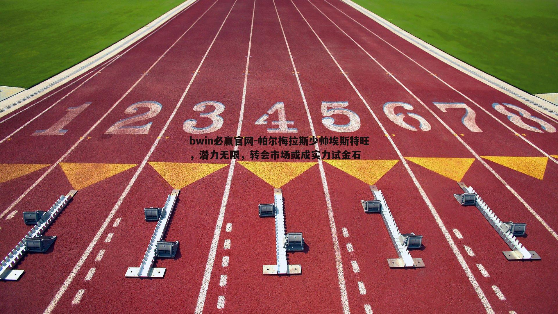 帕尔梅拉斯少帅埃斯特旺，潜力无限，转会市场或成实力试金石